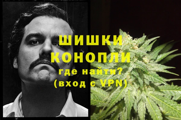 гидропоника Володарск