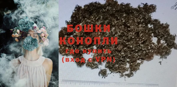 мдпв Волоколамск