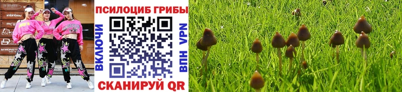 MEGA как войти  Вяземский  Галлюциногенные грибы Magic Shrooms 