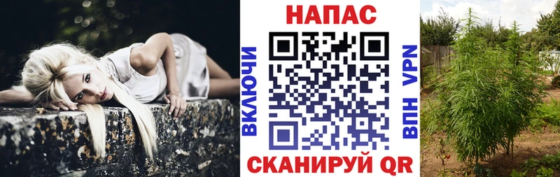 blacksprut ССЫЛКА  это клад  Конопля план  Вяземский 