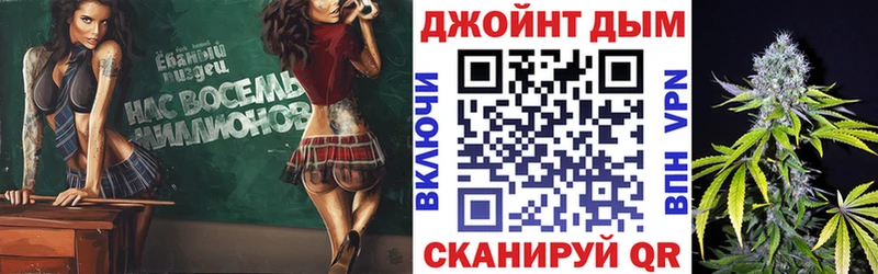 Конопля сатива Вяземский